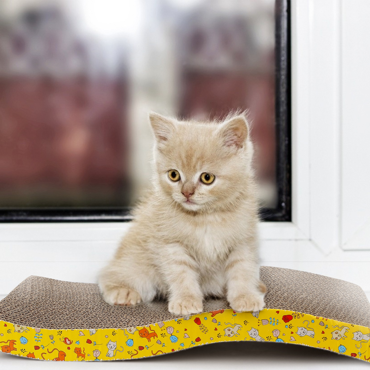 2Pcs Cat Scratcher Pads